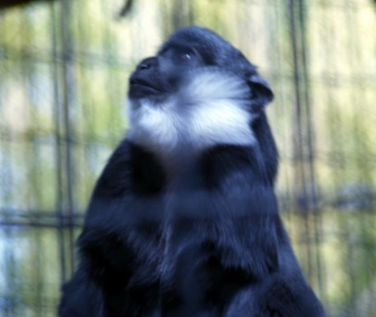 photo43.jpg