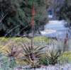 photo446_small.jpg