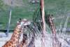 photo454_small.jpg