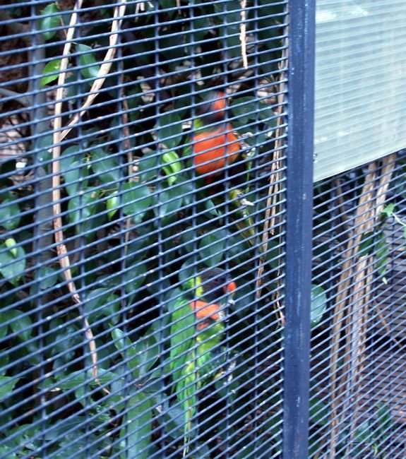 photo5.jpg