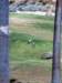 photo539_small.jpg