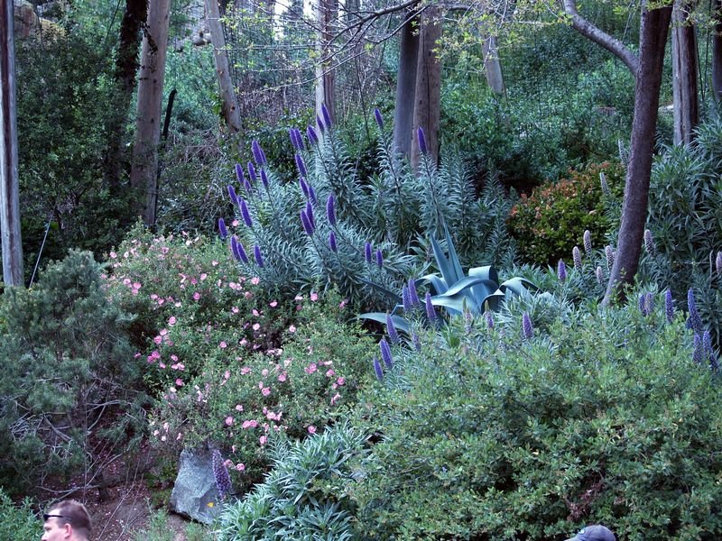 photo81.jpg