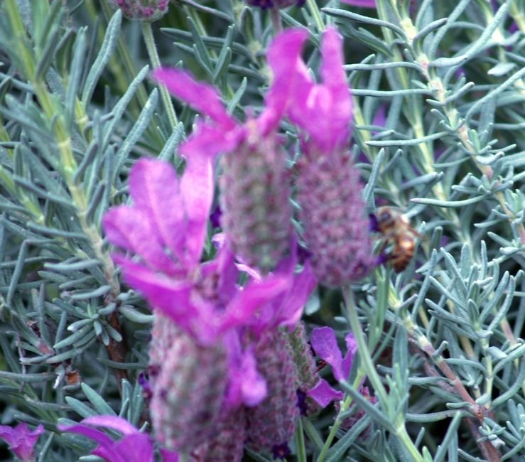 photo84.jpg
