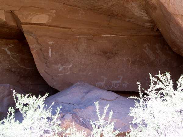 Nine Mile Canyon Petroglyphs, Utah by Phil Konstantin