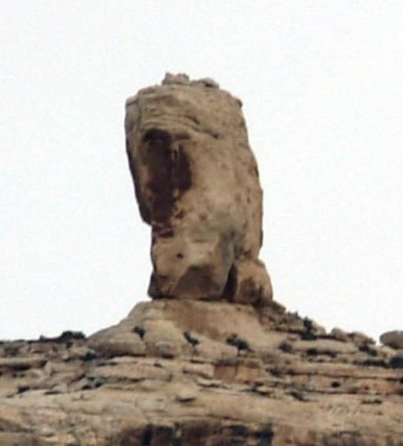 a16.jpg