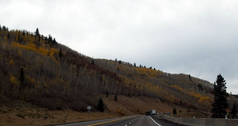 photo16.jpg