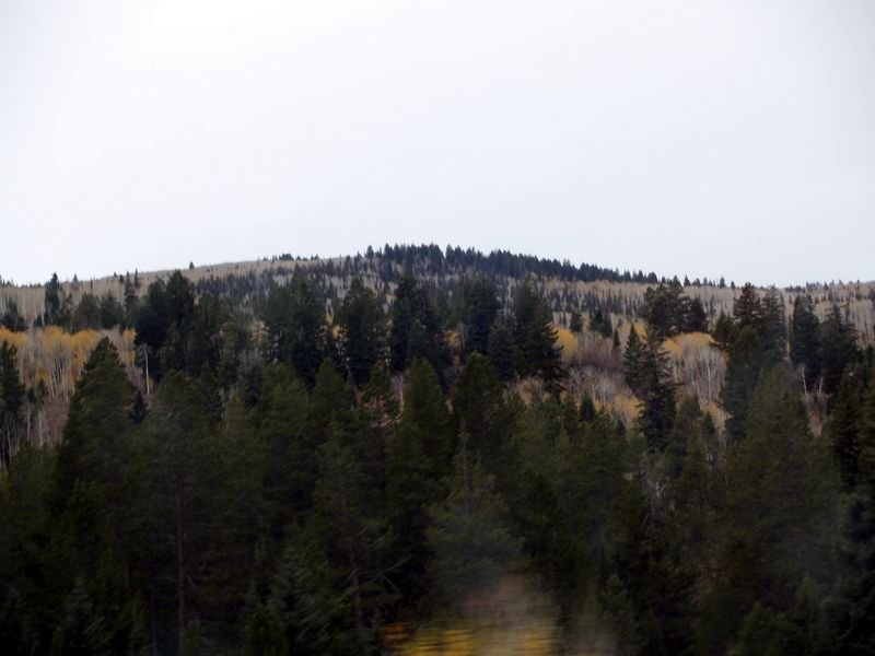 photo18.jpg
