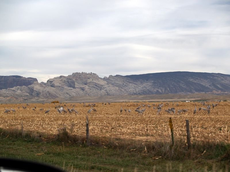 photo32.jpg