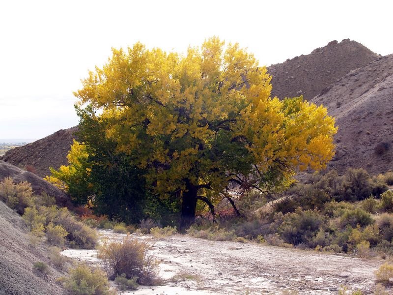 photo95.jpg