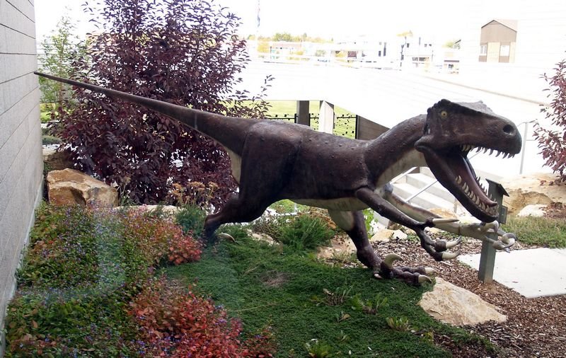 photo22.jpg
