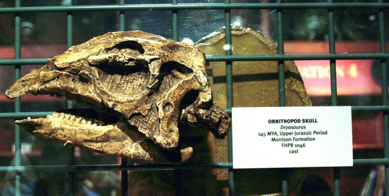 photo4.jpg