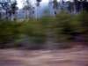 blur2_small.jpg