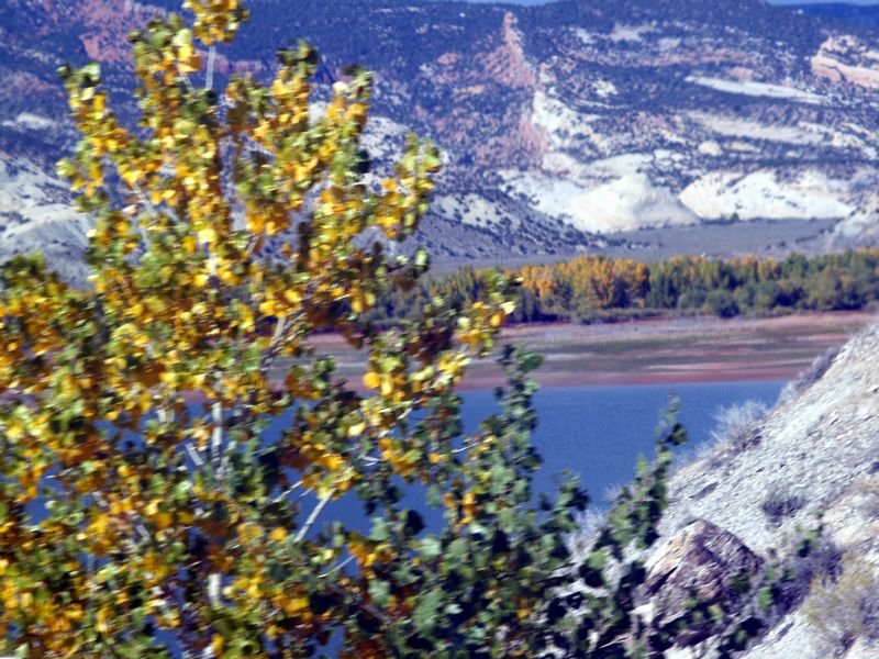 photo22.jpg