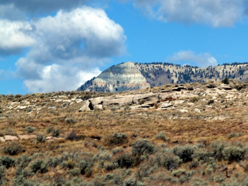 photo16.jpg