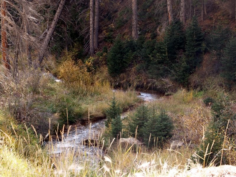 photo45.jpg