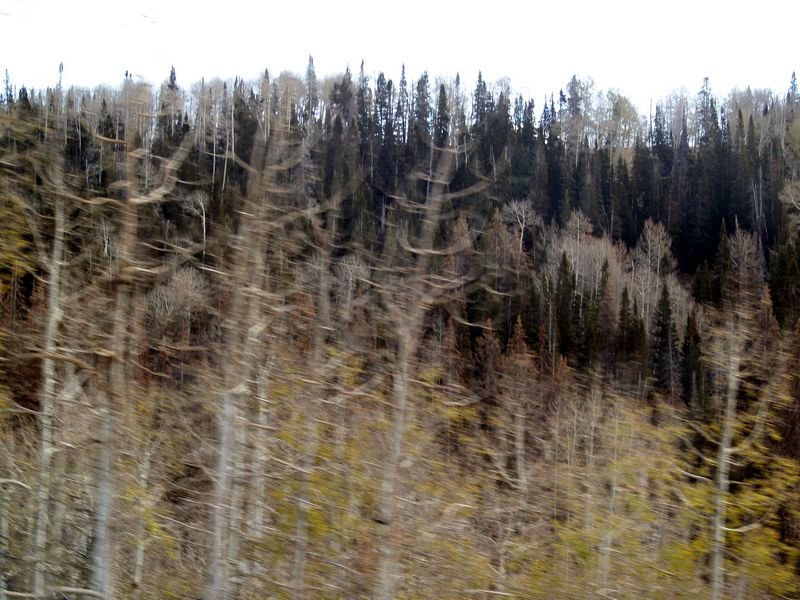 photo56.jpg