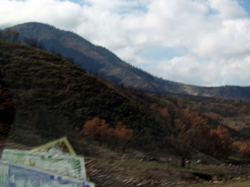 photo14.jpg