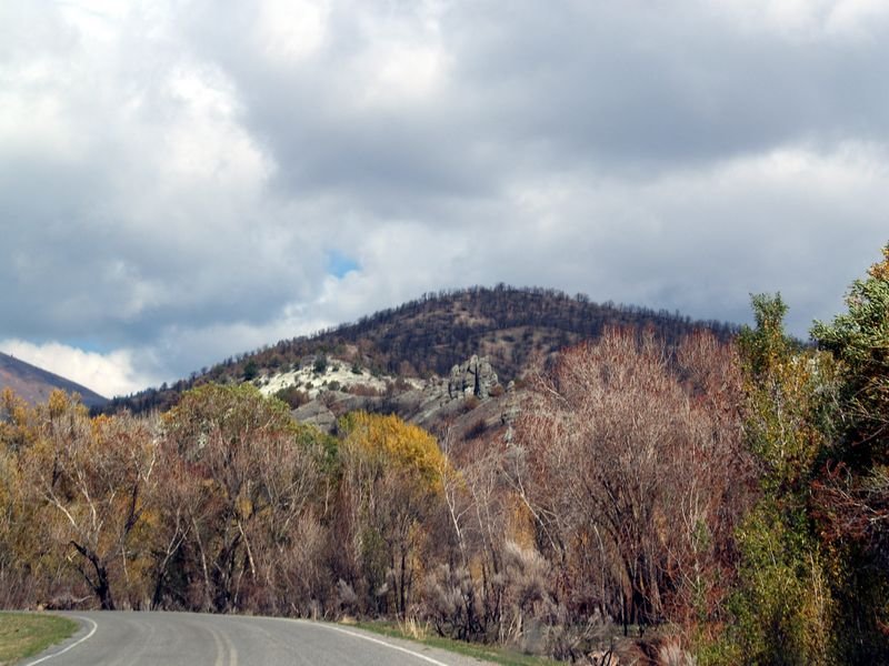 photo25.jpg