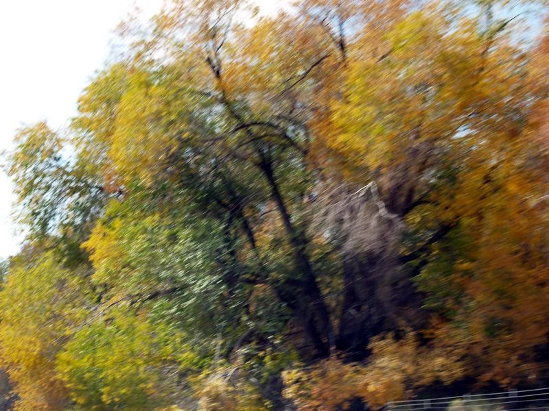 photo4.jpg