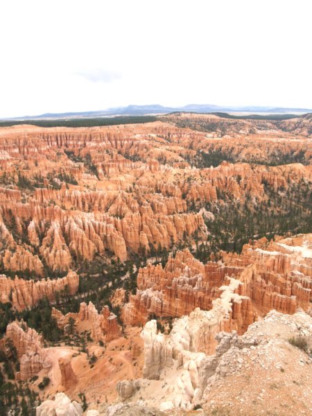 photo12.jpg