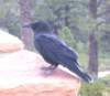 photo30_small.jpg