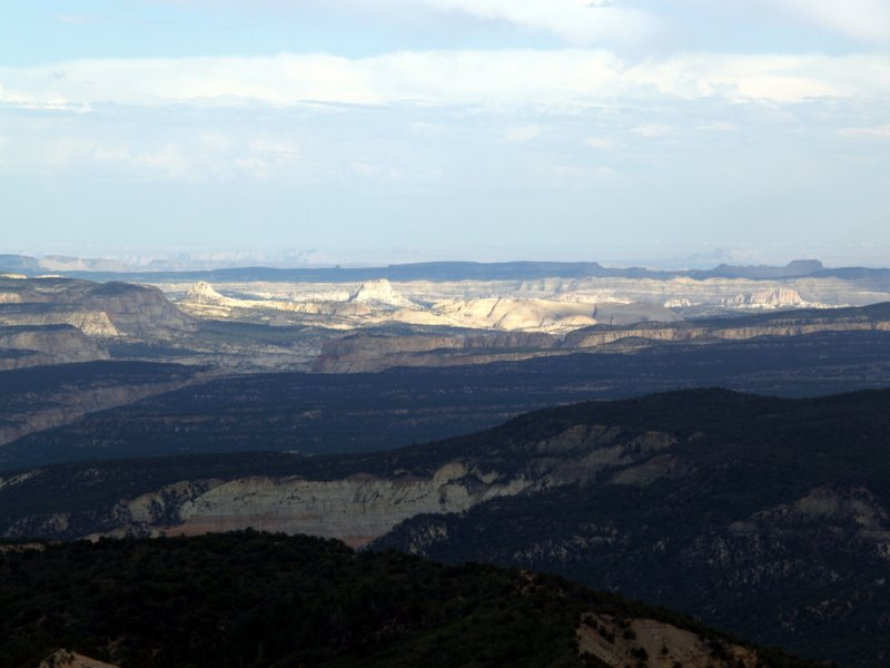 photo48.jpg