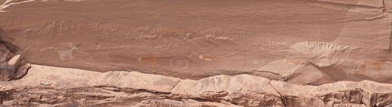 _8204152antelope.jpg