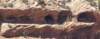 _8204202a_small.jpg