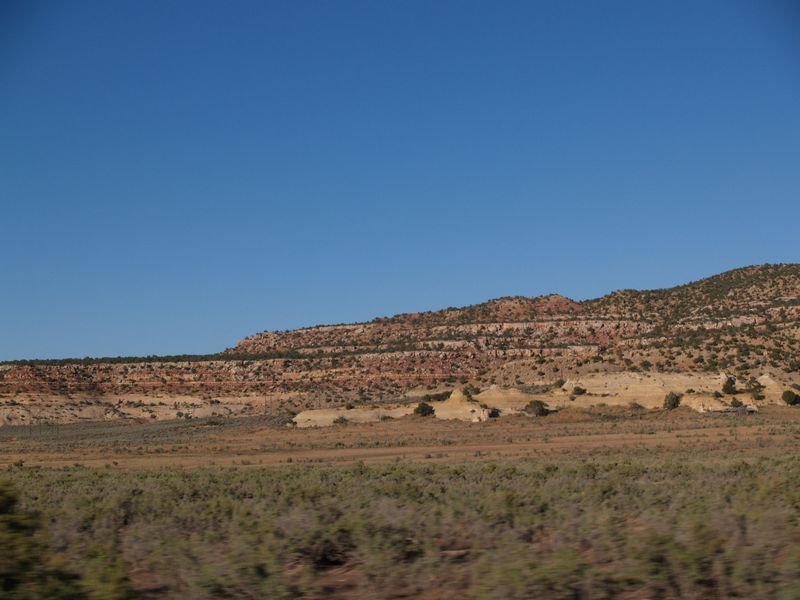 _8204310.jpg