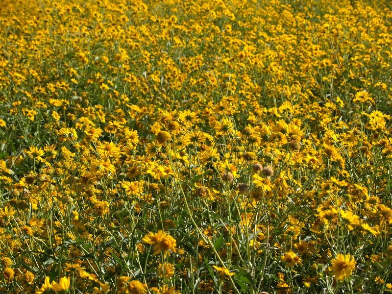 photo5.jpg