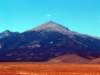 baker80912856_small.jpg