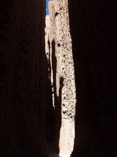 photo44.jpg