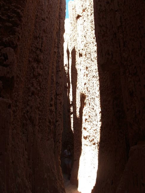photo46.jpg