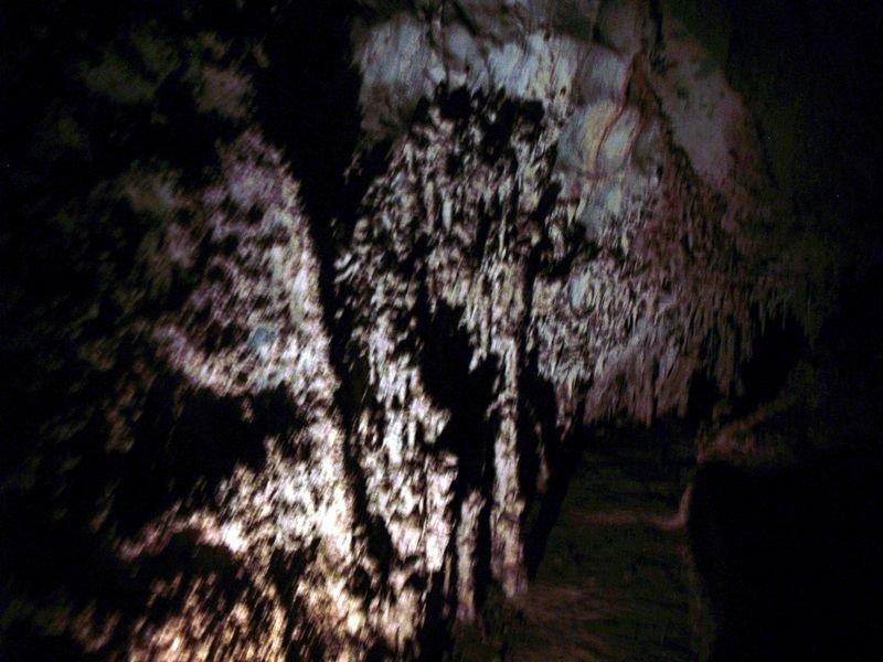 photo26.jpg
