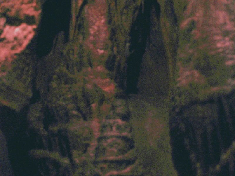 photo33.jpg