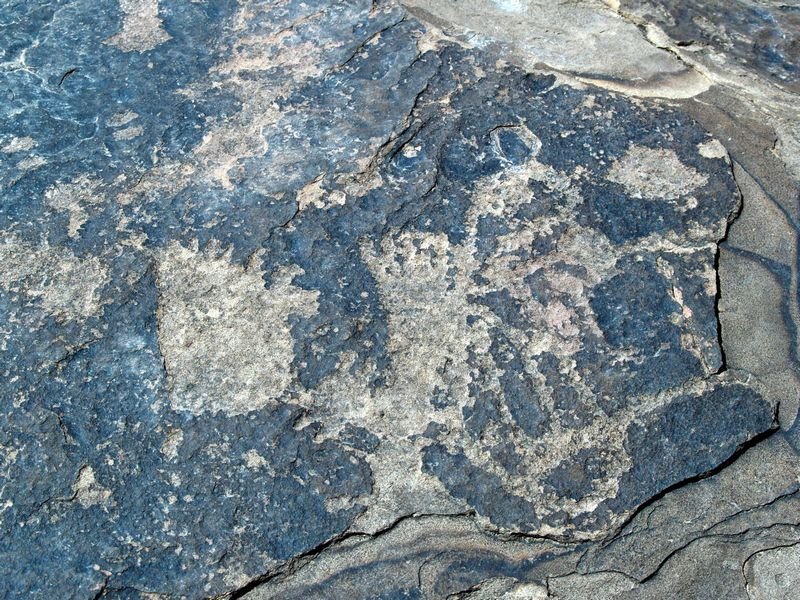 petro8081116_11749.jpg