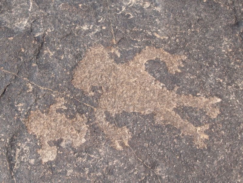 photo7.jpg