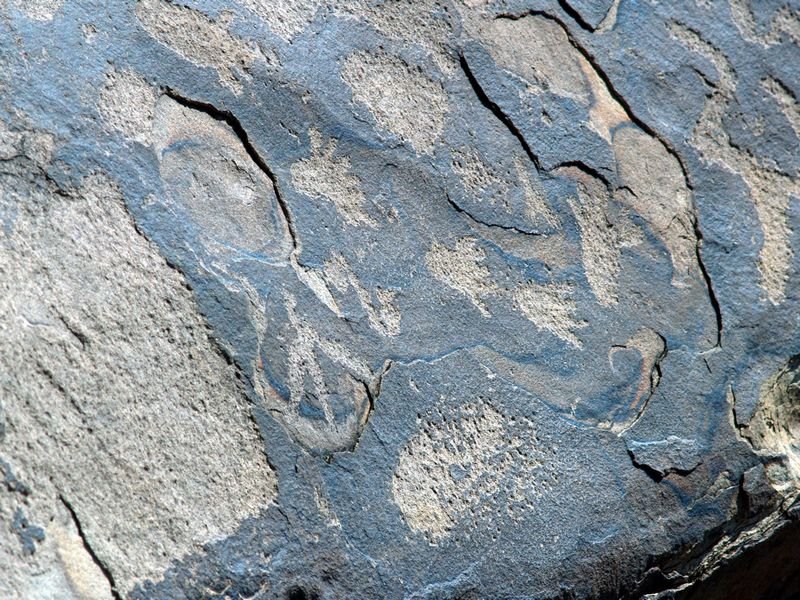 photo88.jpg