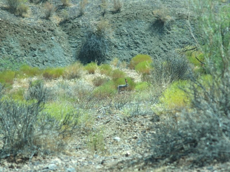 photo90.jpg
