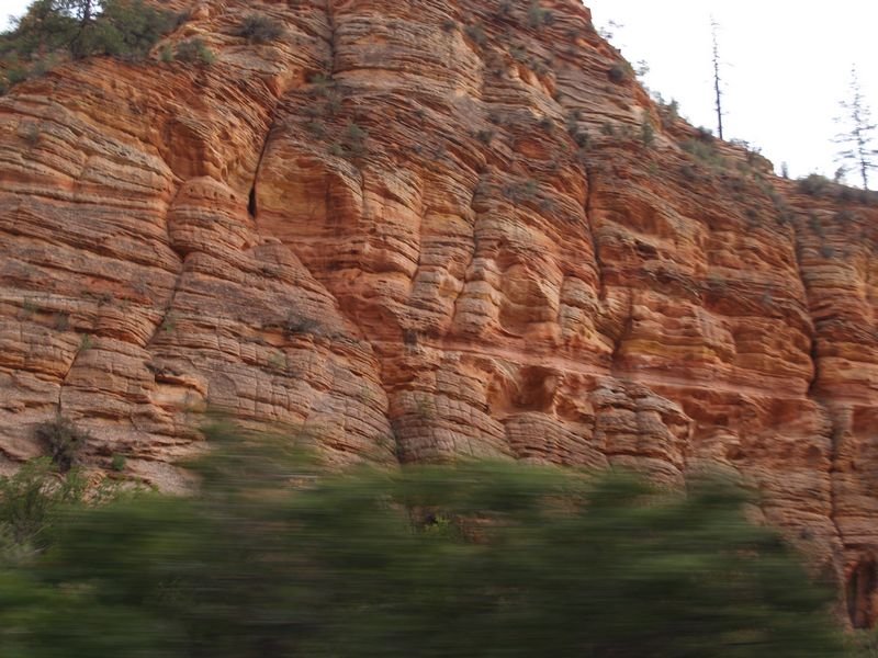 photo12.jpg