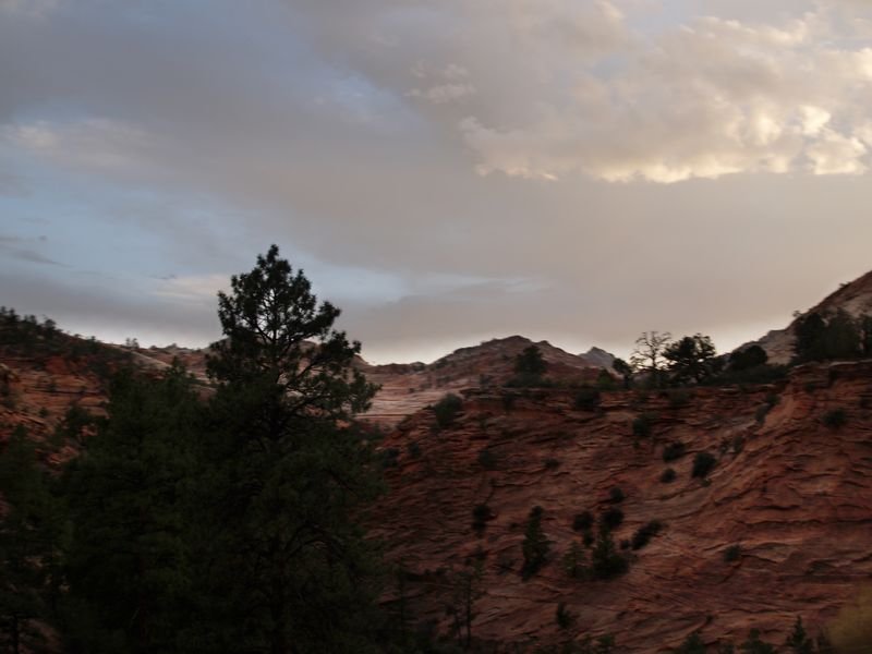 photo21.jpg