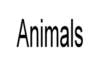 animals_small.jpg